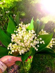 Beautiful white lilies of the valley in hand in the green spring sunny forest day. Spring, april, may, nature