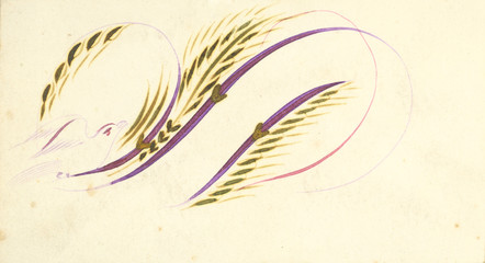 Fototapeta na wymiar vintage feather and scroll illustration
