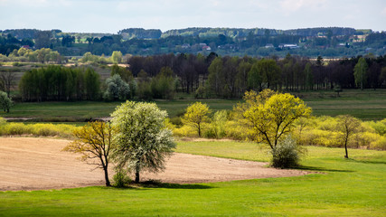 Wiosna w Dolinie Narwi. Wiosenne Podlasie. Tykocin, Strękowa Góra, Podlasie, Polska