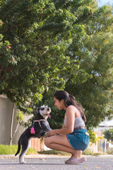 Naklejka na ściany i meble beautiful woman playing with her schnauzer outside her house. She and her pet look at each other