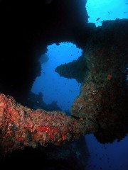 Fototapeta na wymiar Underwater landscape in Arabian sea, Baa Atoll, Maldives, underwater photograph