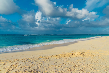 Fototapeta premium tropical panorama island of Anguilla Caribbean sea