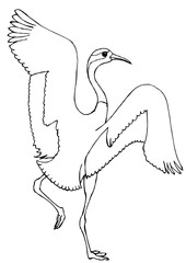The crane dances with its wings spread. Drawing for coloring - 345742169
