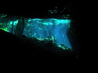Cenote, underwater landscape, Yucatan Peninsula of Mexico, underwater photograph 