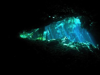 Cenote, underwater landscape, Yucatan Peninsula of Mexico, underwater photograph 
