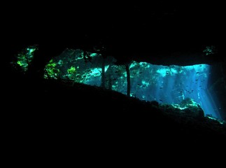 Cenote, underwater landscape, Yucatan Peninsula of Mexico, underwater photograph 