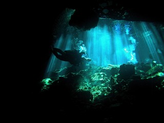 Cenote, underwater landscape, Yucatan Peninsula of Mexico, underwater photograph 