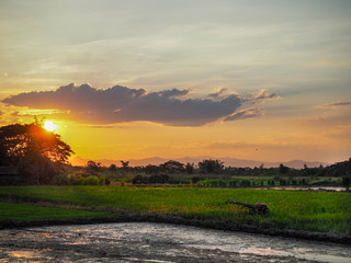 sunset in the countryside