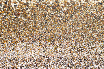 small pebbles with rounded stones close-up for background