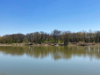 reflection of trees in water