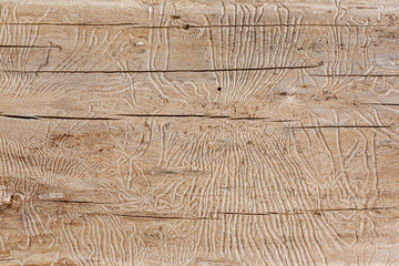 close up texture of light wood with cracks