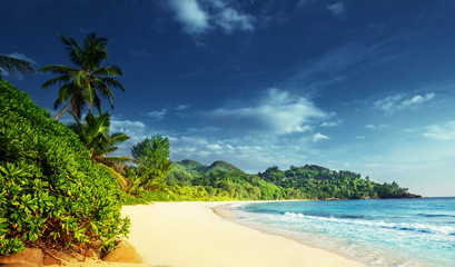 beach at Mahe island,  Seychelles