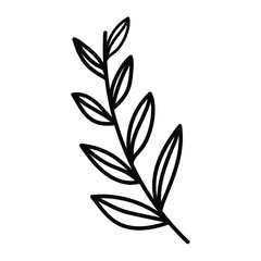 
Branch of a plant on a white background. Wildflowers. Flowers from the field. Spring flowering plants