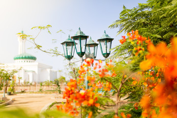 Fototapeta na wymiar Garden in Sharm El-sheikh