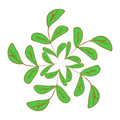 Pattern or frame of green twigs for highlights on a white background vector illustration. Summer or spring leaves. Round shape
