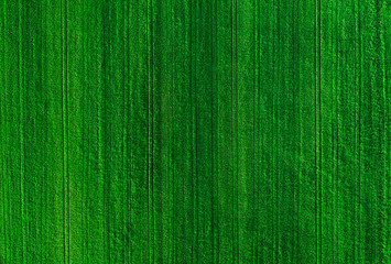 Aerial view of yellow and green fields