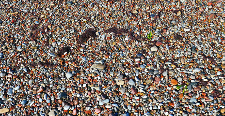 Small colored pebbles of the seashore.