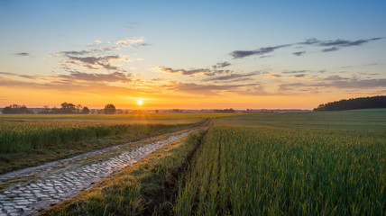 Sunrise over fields with a road in the foreground.