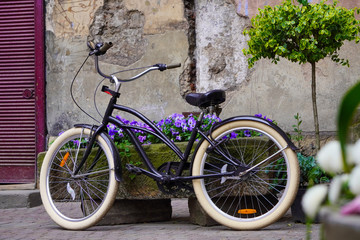 Fototapeta na wymiar A modern black city bike stands next to a bed of purple flowers and a tree. Urban landscape, ecological and sports mode of transport in the old city. Spring bright green at the old house