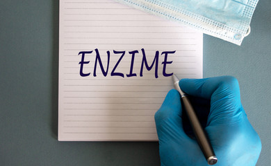Male hand in blue glove writes the word 'enzime' on a white note. Medicine mask.