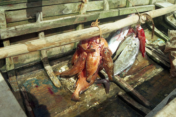 pêcheur en république dominicaine