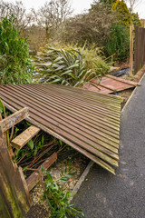 Wooden garden fence destroyed by the strong winds of a winter storm