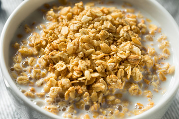 Healthy Organic Granola with Milk
