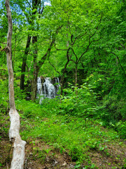 Waterfall in the forest