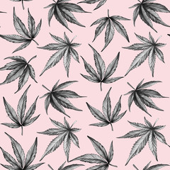 hand-drawn Seamless cannabis pattern on a pink background. Black and white hemp leaves on a pink background.