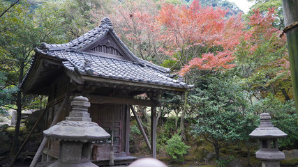 traditional Japanese garden during fall season, stone house amid bright deciduous trees in Sengan-en Park, residence of Shimazu family. historical architecture, stone lamps, pagoda Kagoshima Japan