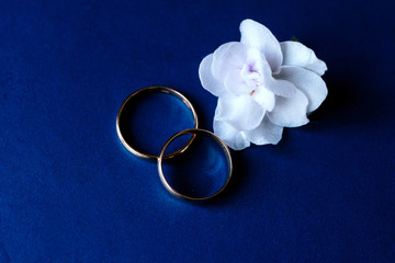 Wedding rings and engagement ring on a blue background, color diplomat