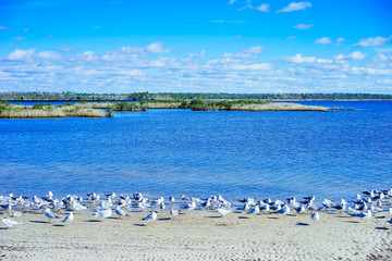 Beautiful Florida beach winter landscape