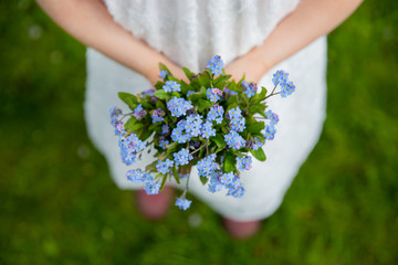 Forget me nots held by a girl on a grass background