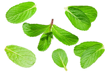 Fresh mint leaves isolated on white background. top view