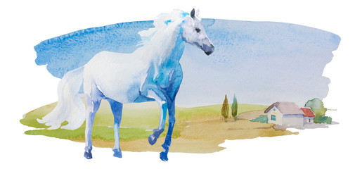 watercolor white horse on simple landscape with meadows and lonely house with some trees. Horisontal rural illustration isolated on white background