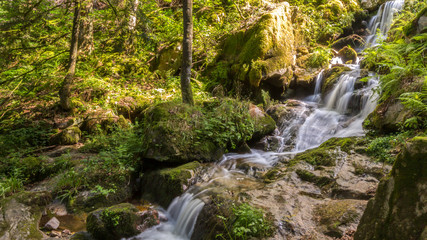 Fototapeta na wymiar Photography of a long exposure waterfall in the forest
