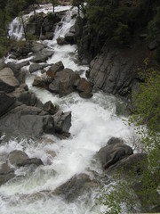 White Water Rapids in the Park