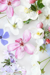 Macro shot of assorted spring flowers with water drops floating in water. Fresh floral background.