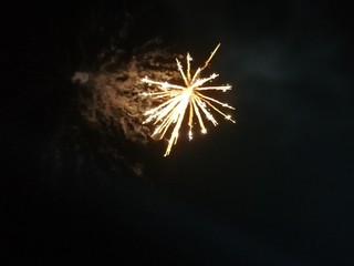 Fototapeta premium fireworks in the sky
