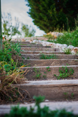 Escaleras de madera