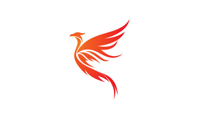 phoenix logo illustration