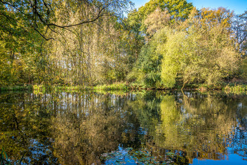 Autumnal lake shore with forest under sky.