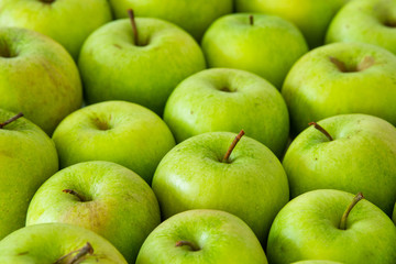 Green apple on a white background. Granny smith