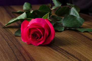 One scarlet rose on wood table, copy space for text.One scarlet rose on wood table, copy space for text. Blur background.