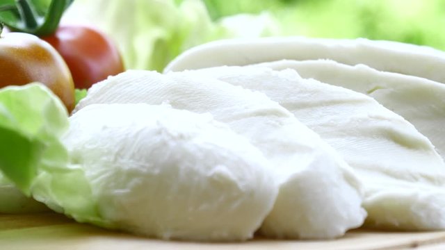 slices of mozzarella with tomato and salad on a plate with green trees in the background	