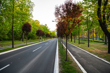 Black asphalt road and white dividing lines