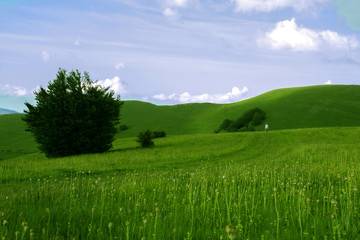 .relaxing mountain weighing