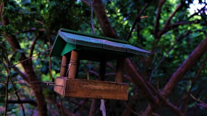 Wooden feeder for birds on a tree. 