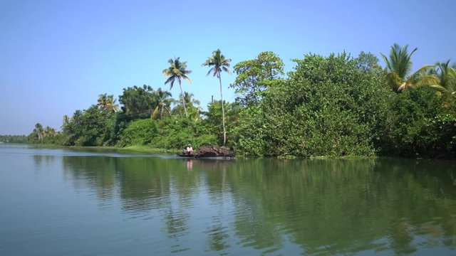 Paisaje de palmeras en los Backwaters de Kerala (India) en un día soleado. Imágenes de alta definición y cámara lenta.