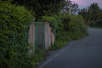 Fototapeta na wymiar Puerta abandonada en un camino